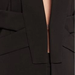 Rinascimento Γυναίκες Σακάκια & Μπλέιζερ Μπλέιζερ CFC0110550003 Μαύρο Regular Fit -Rinascimento Εκπτώσεις unnamed file 2353