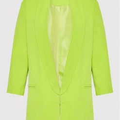 Rinascimento Γυναίκες Σακάκια & Μπλέιζερ Μπλέιζερ CFC0109401003 Πράσινο Regular Fit -Rinascimento Εκπτώσεις unnamed file 3312